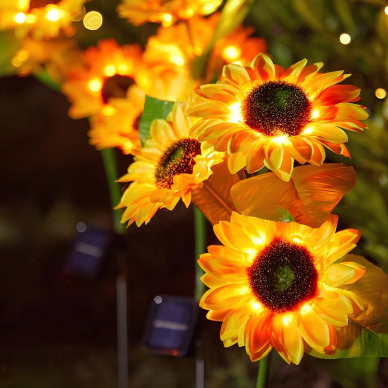 Everbloom™ Fleurs solaires lumineuses