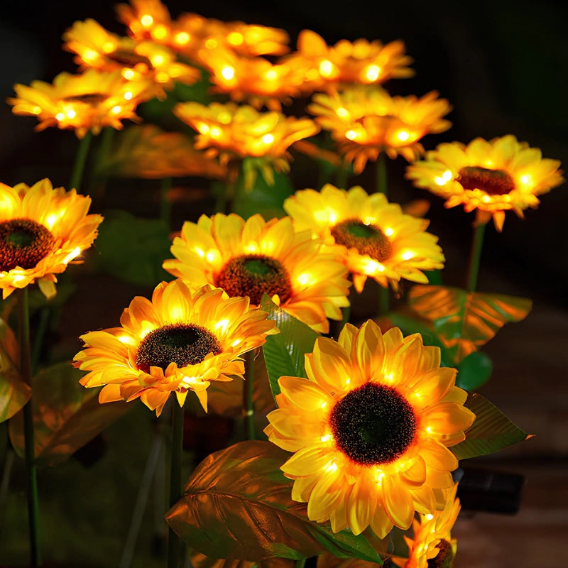 Everbloom™ Fleurs solaires lumineuses