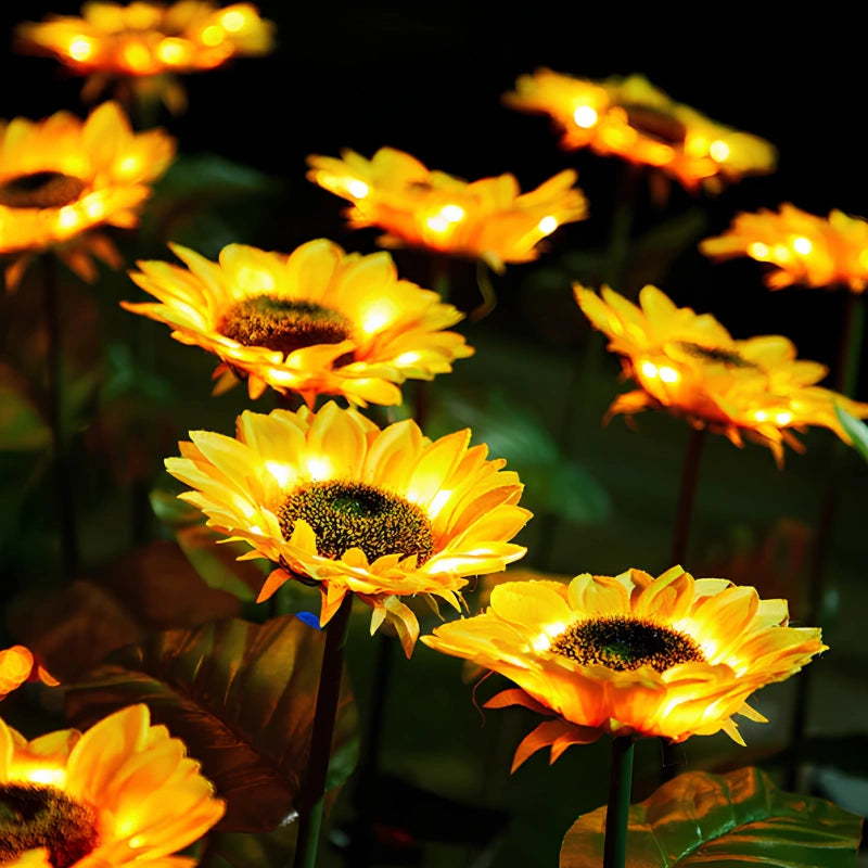 Everbloom™ Fleurs solaires lumineuses