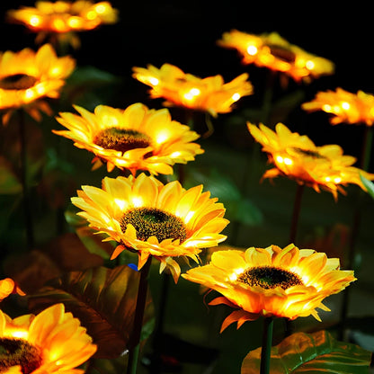 Everbloom™ Fleurs solaires lumineuses
