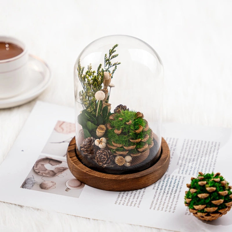 EternaBloom™ ナイトライト