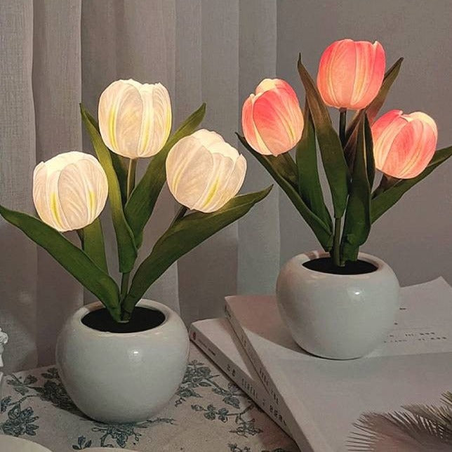 Tulipán éjszakai fény